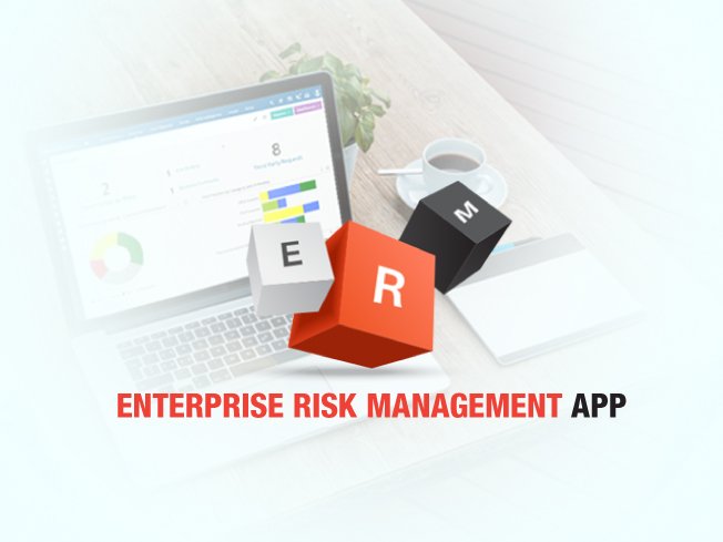 enterprise risk management