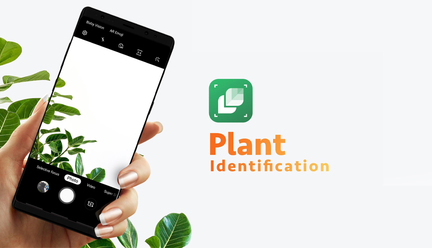 LeafSnap Image Recognition Apps