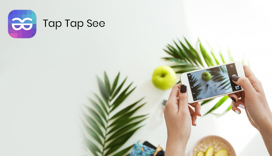 TapTap See Image Recognition Apps